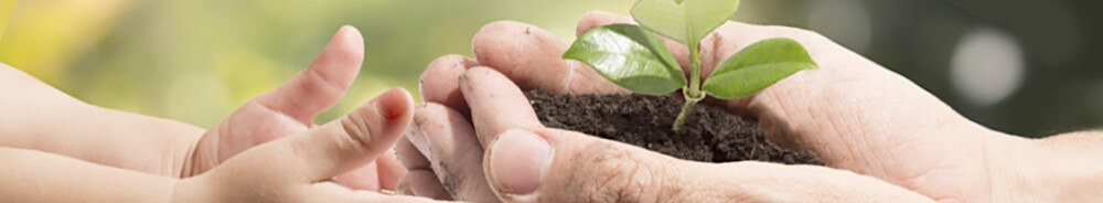 Land as your legacy